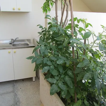 Vivere Nel Salento Aparthotel