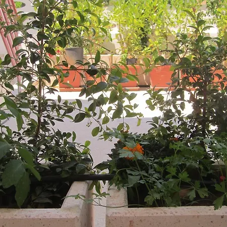 Aparthotel Vivere Nel Salento