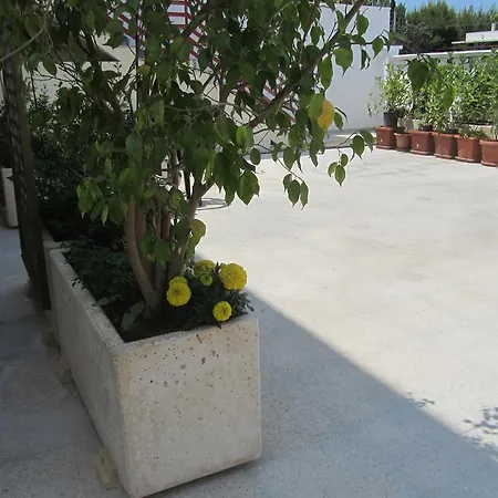 Vivere Nel Salento Aparthotel
